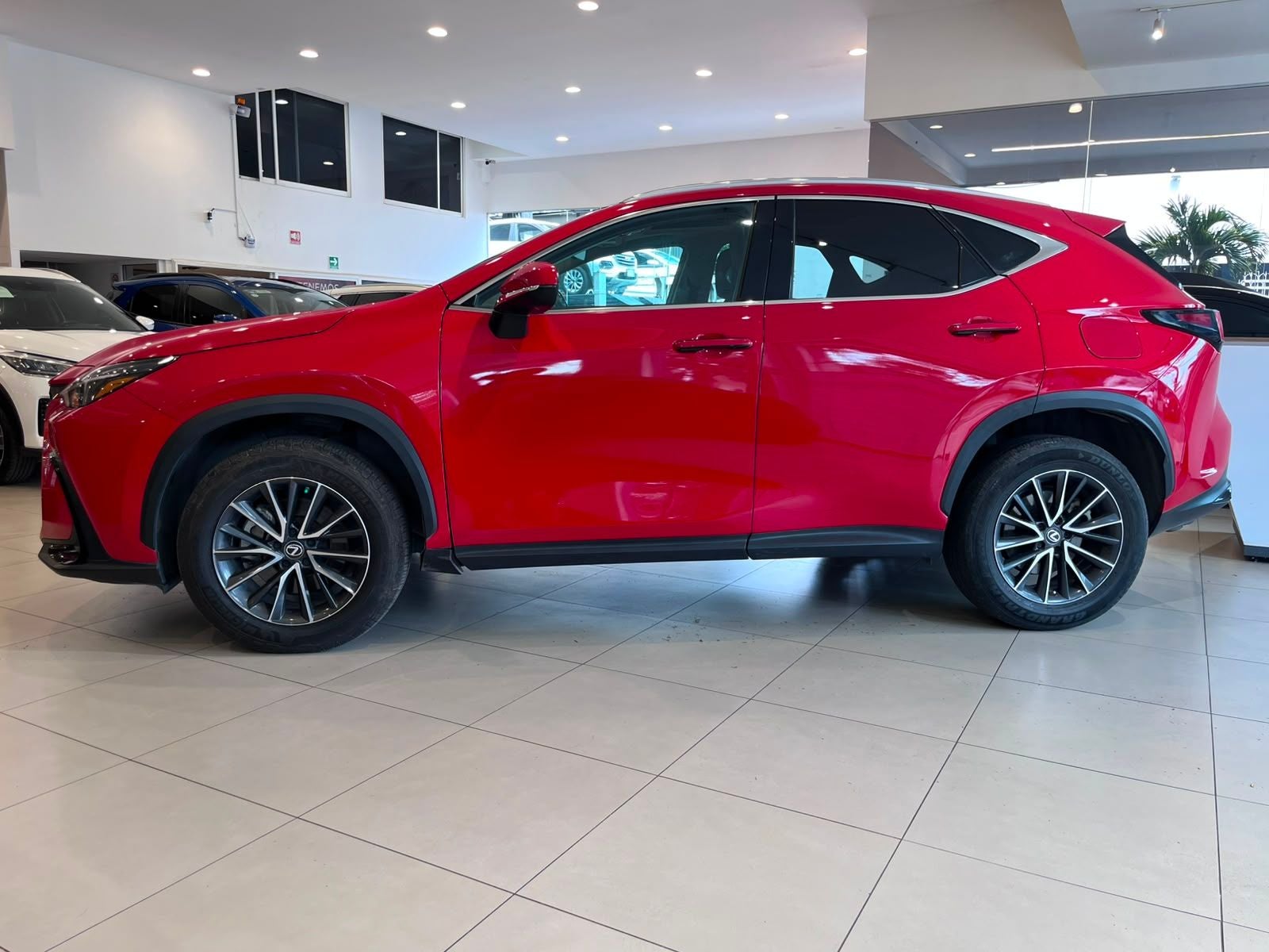 2022 Lexus NX 2.5 250 AWD At