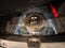 2023 Chevrolet Onix 1.0 Premier Redline At
